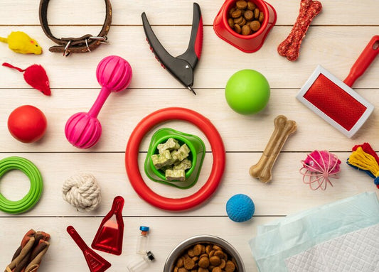Must-Have Accessories for Pet Owners: Style, Comfort & Function