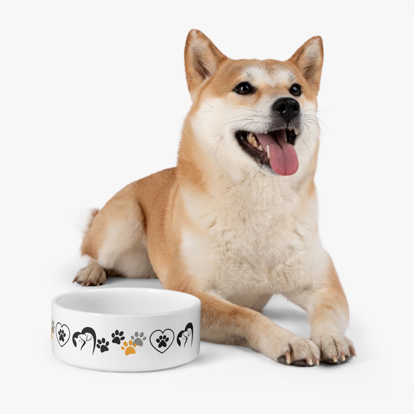Premium Pet Bowls – Durable, Stylish, and Safe for Your Pets