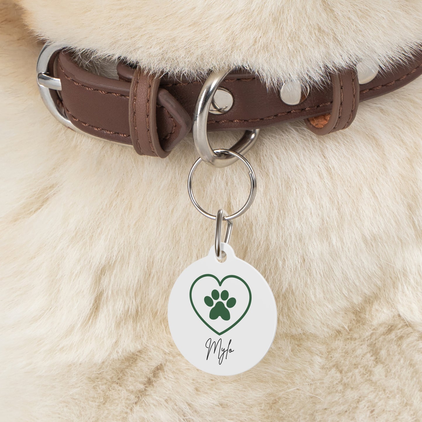 Pet Tag for Dogs and Cats – Stylish & Durable Tag