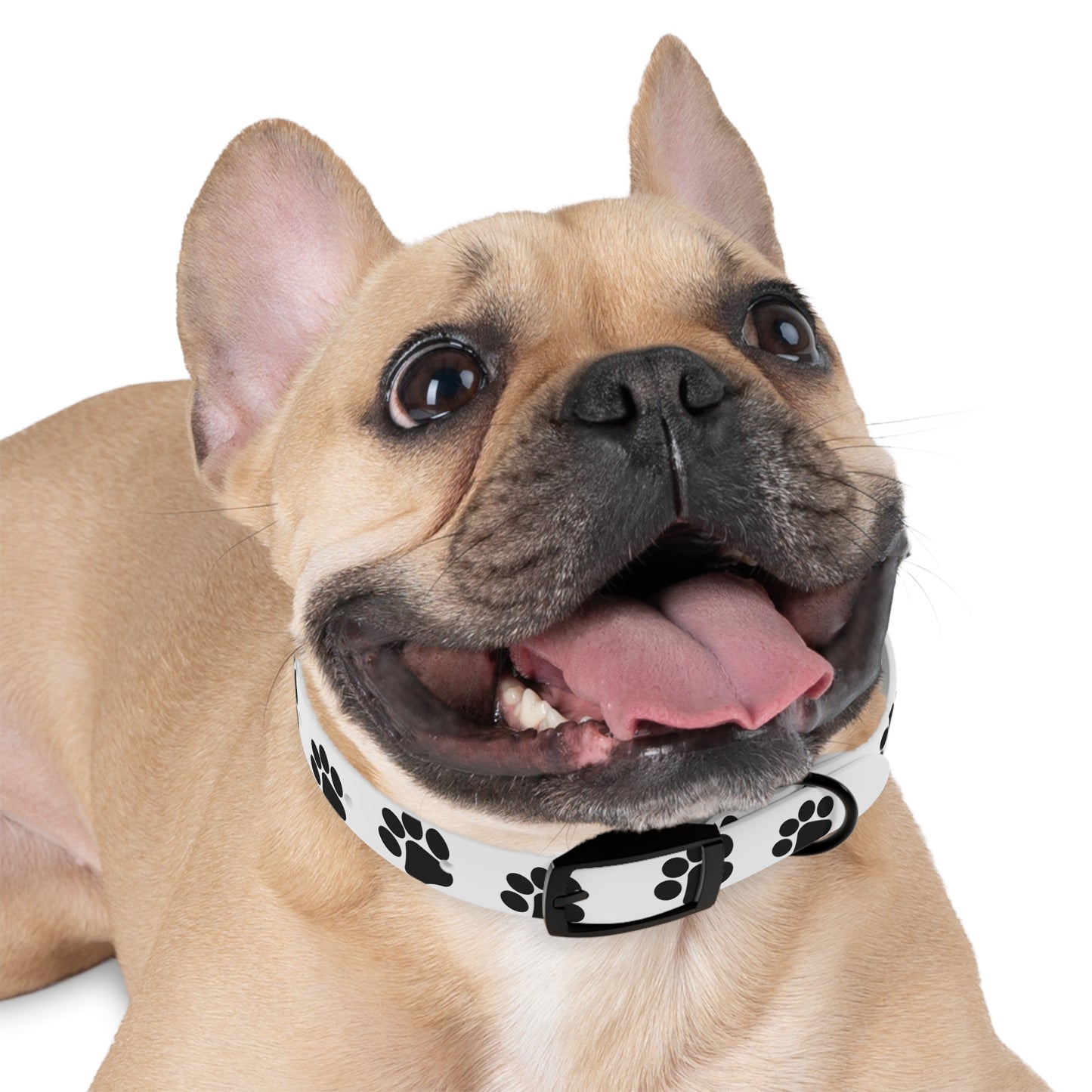 Premium Adjustable Dog Collar – Durable, Comfortable, and Stylish
