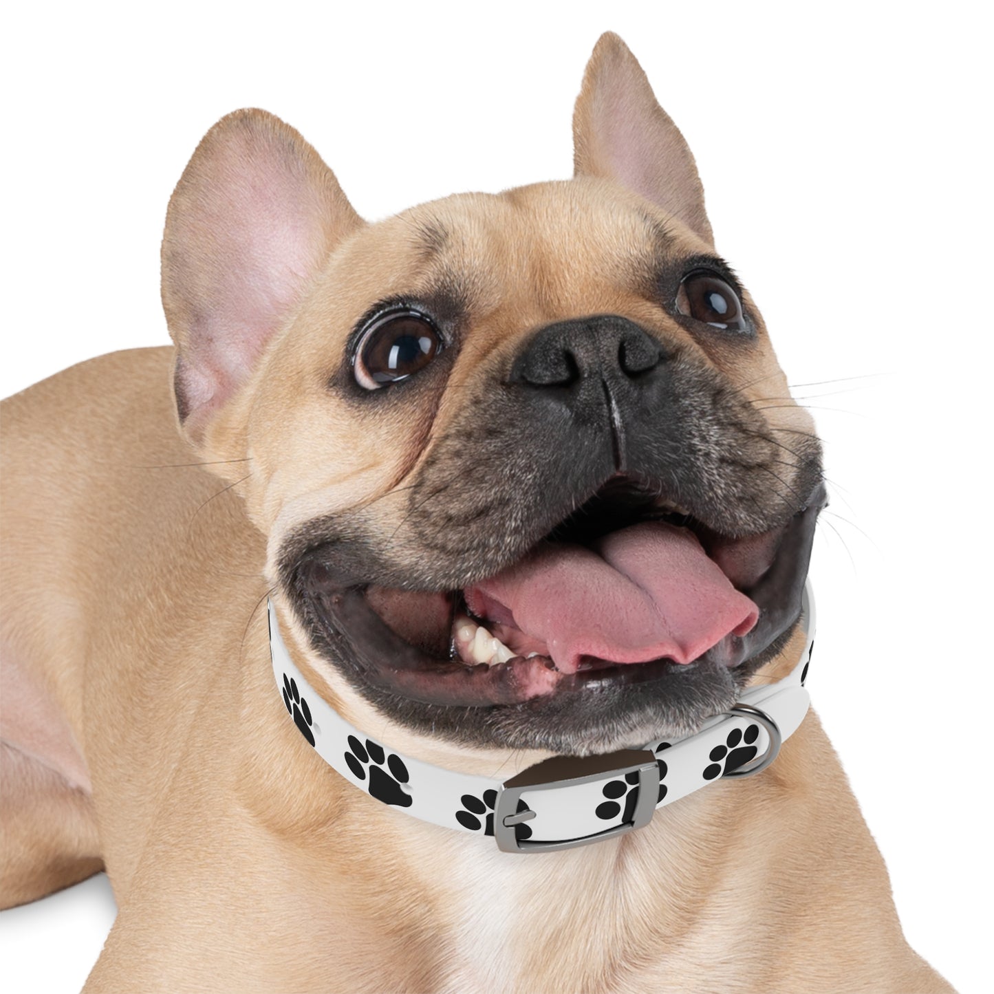 Premium Adjustable Dog Collar – Durable, Comfortable, and Stylish
