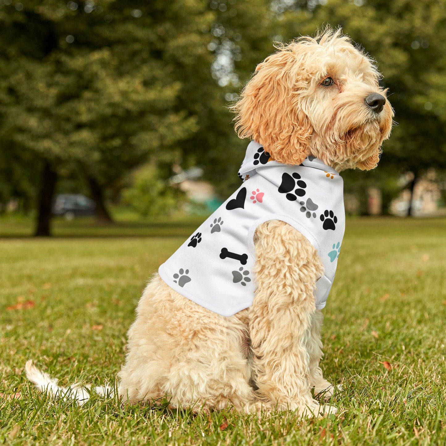 Cozy Pet Hoodie – Stylish Comfort for Your Furry Friend