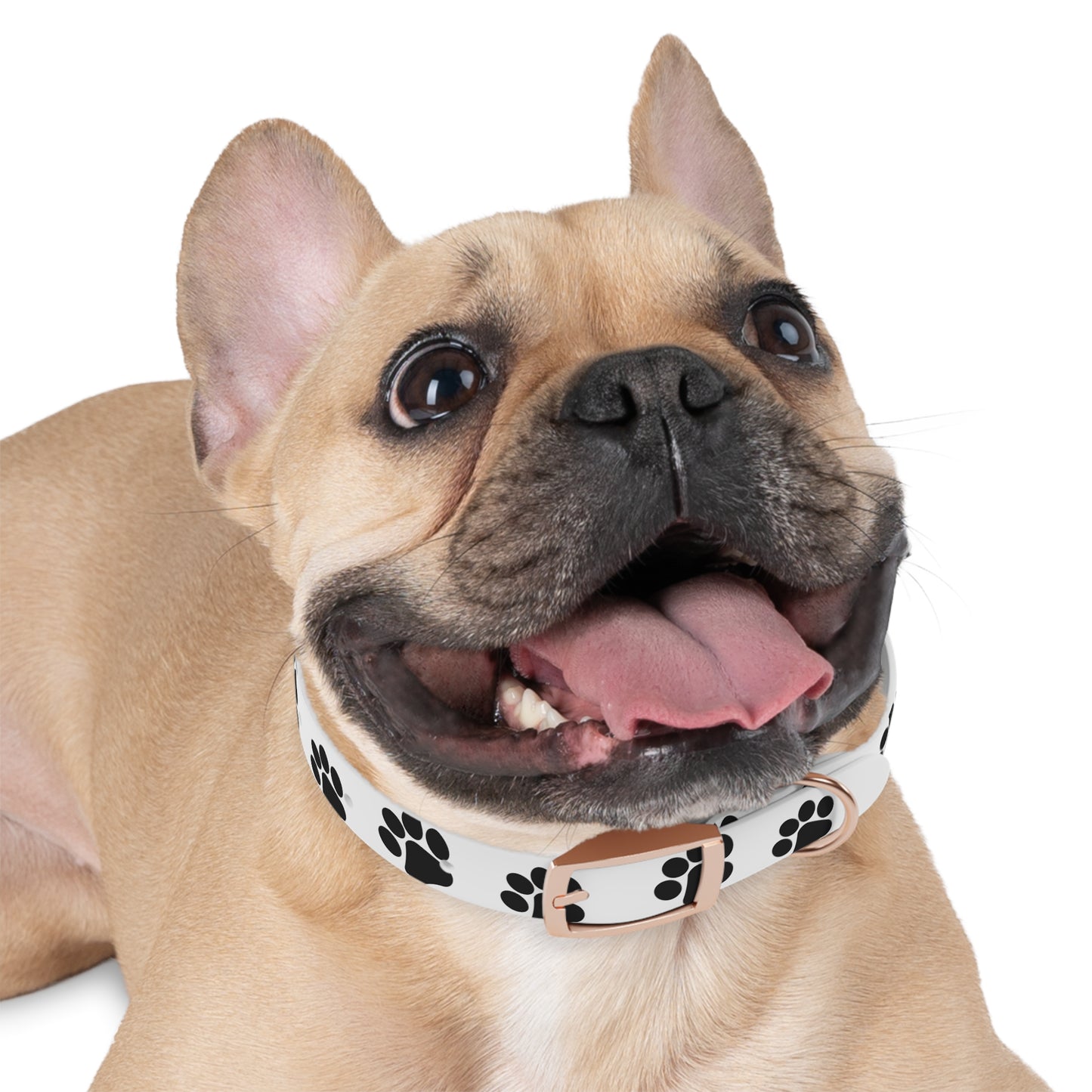 Premium Adjustable Dog Collar – Durable, Comfortable, and Stylish